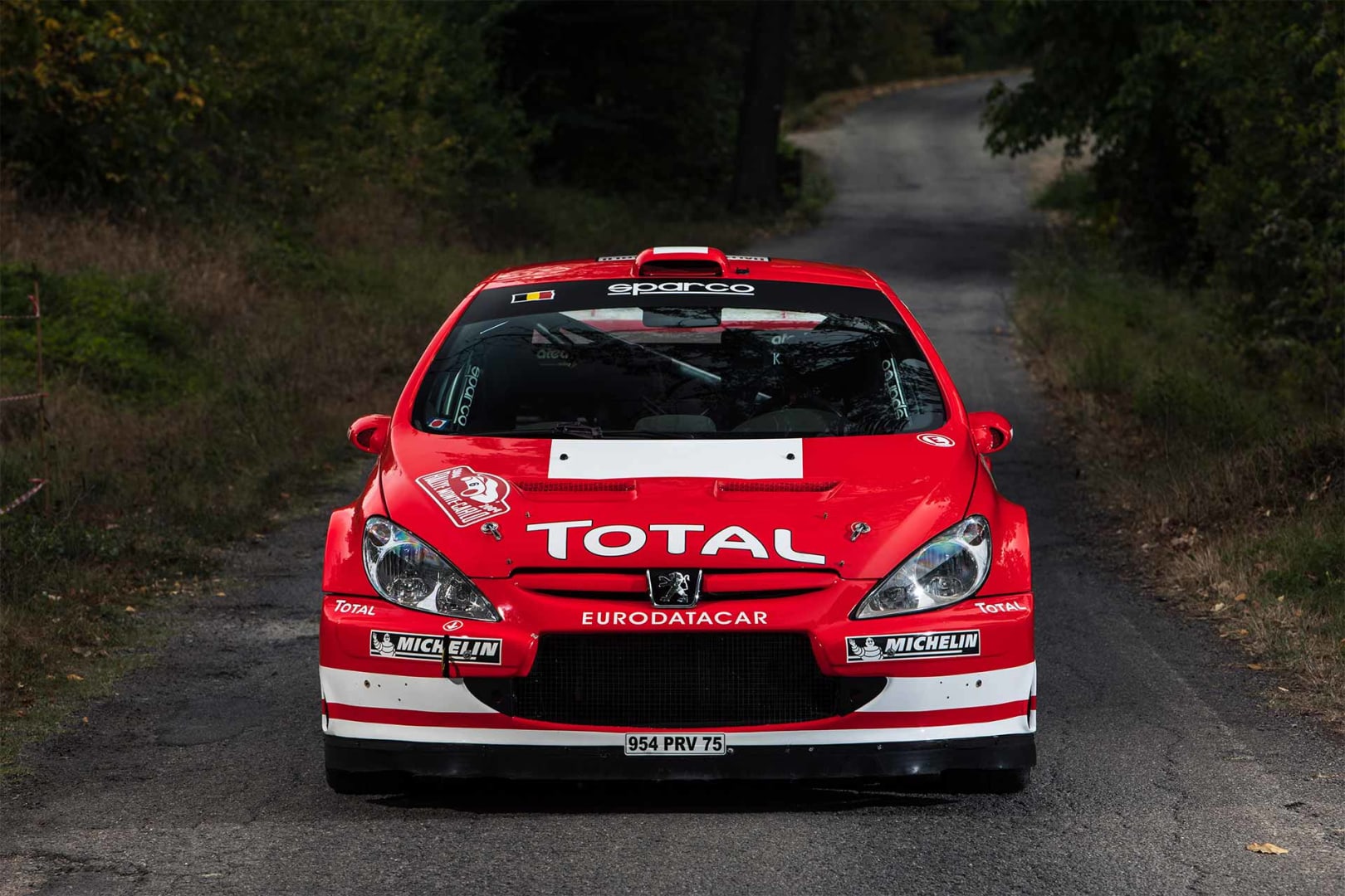 1/24 プジョー 307 WRC モンテカルロ '05 スポーツカーシリーズ